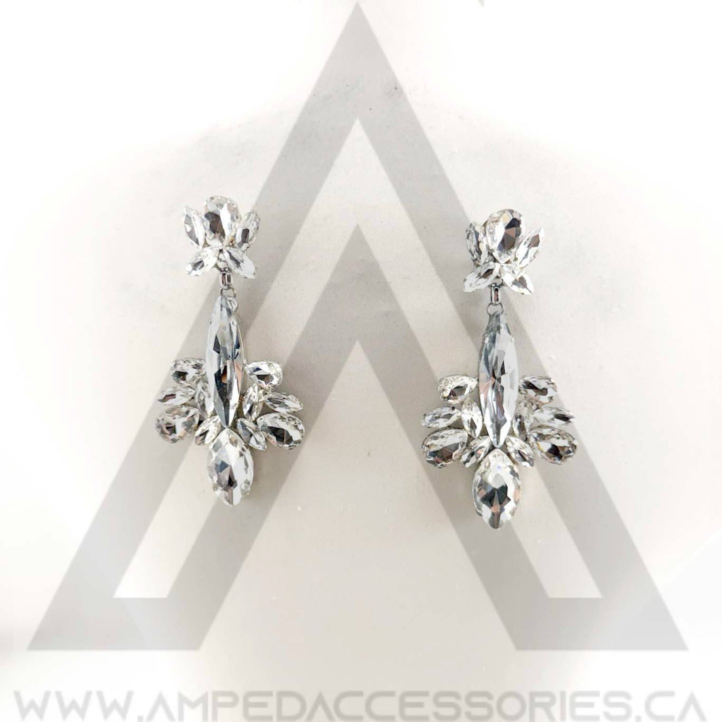Clear Earrings