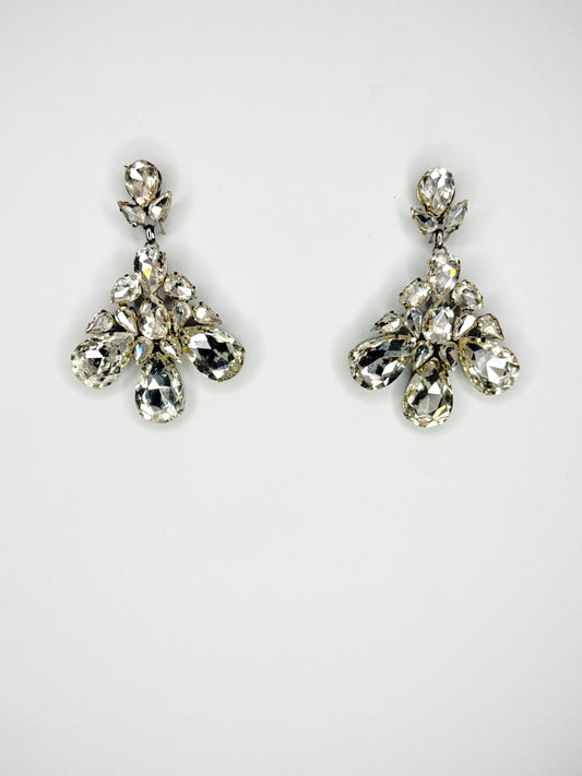Clear Earrings - Medium Size